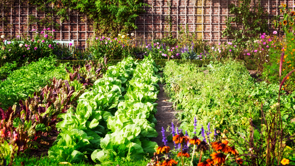 Unleashing the Power of Electroculture Gardening: A Green Revolution in Plant Growth