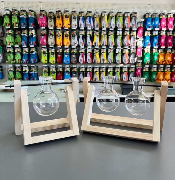 Keep Herbs Fresh Longer Expert Tip to Extend Your Gardening Experience