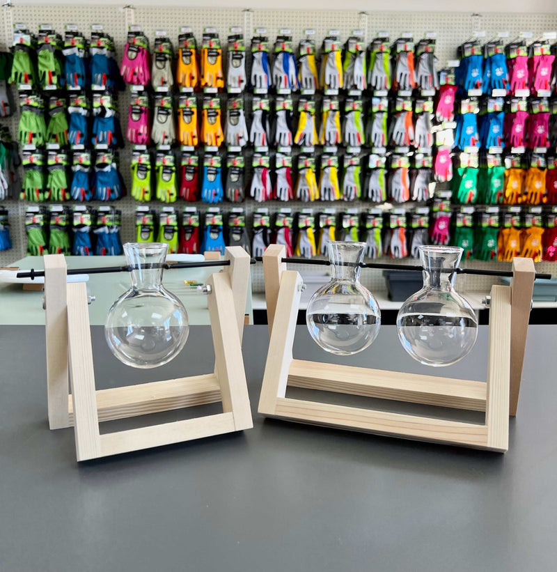 Keep Herbs Fresh Longer Expert Tip to Extend Your Gardening Experience