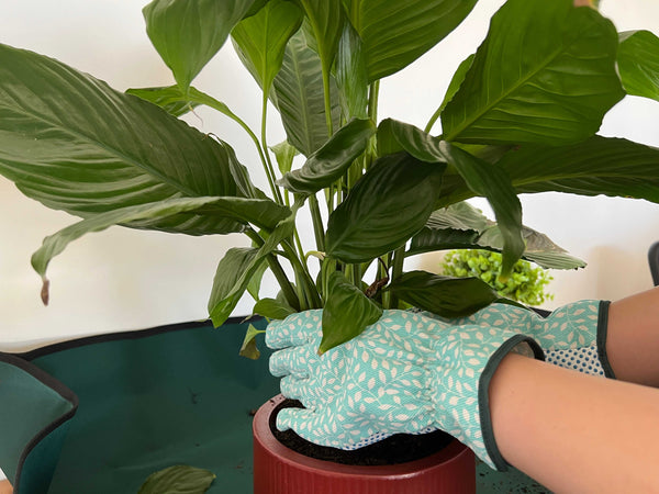 The Ultimate Guide to Choosing the Perfect Garden Gloves