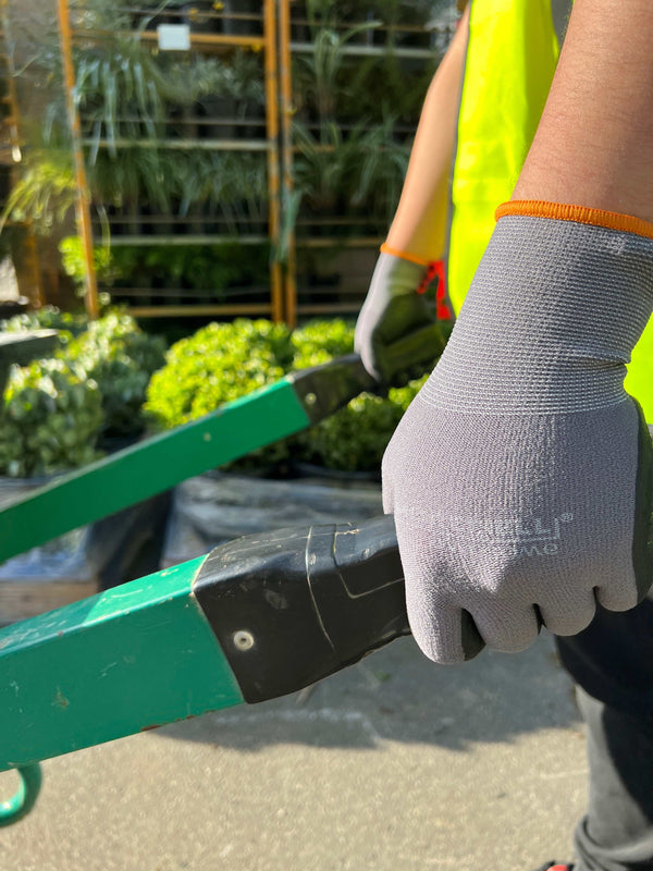 Close-up of hands wearing protective nitrile gloves using gardening shears outdoors, highlighting safety and durability in glove choice.