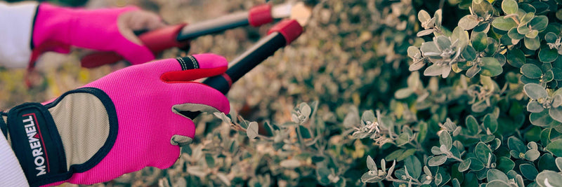 Close-up of hands wearing pink and beige synthetic leather and cotton gardening gloves pruning green plants with garden shears.