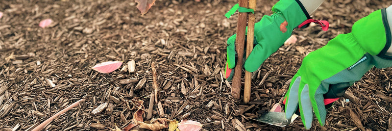 Gift Guide for Green Thumbs: The Perfect Pair of Gardening Gloves for Every Gardener