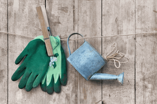 Green garden gloves hanging with clothespin next to a small metal watering can on wooden background