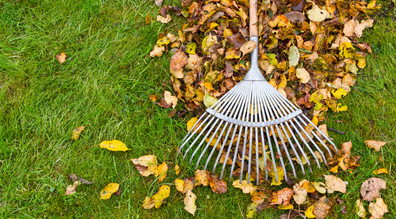 Autumn Gardening in Australia: Tips and Tricks for Planting, Maintenance, and More
