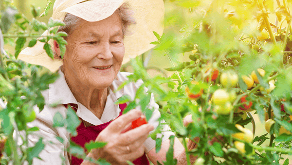 Promote Elderly Gardening