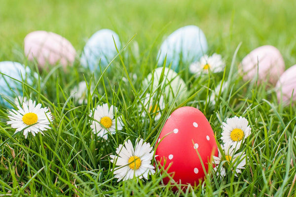 Colorful Easter eggs scattered in green grass with white daisies, symbolizing spring gardening and seasonal celebration with Morewell's premium gardening gloves.