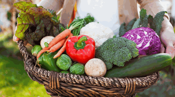 Harness the Power of Green: Gardening Your Way to Lower Living Costs and Better Relaxation