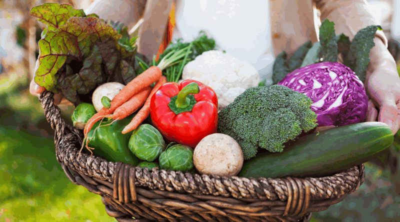 Harness the Power of Green: Gardening Your Way to Lower Living Costs and Better Relaxation