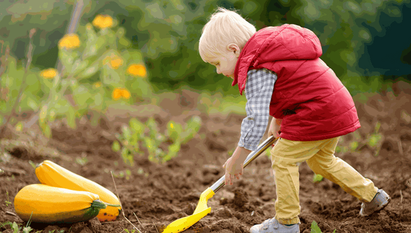 Young child gardening outdoors with a small yellow shovel, learning to grow easy plants for kids in Australia.