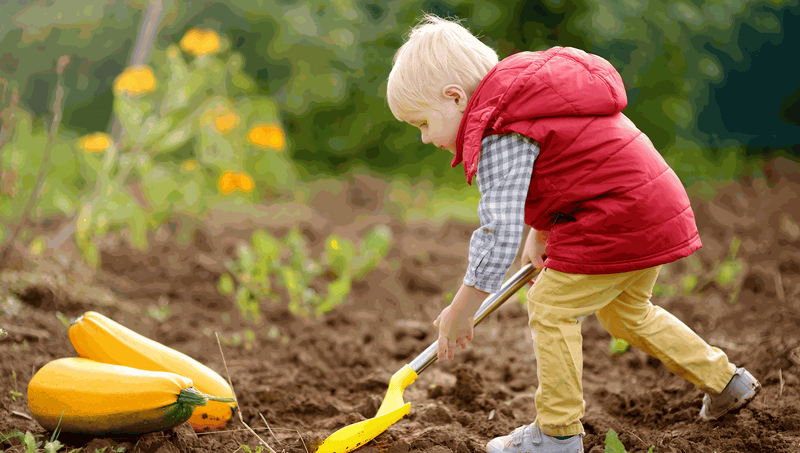 Young child gardening outdoors with a small yellow shovel, learning to grow easy plants for kids in Australia.