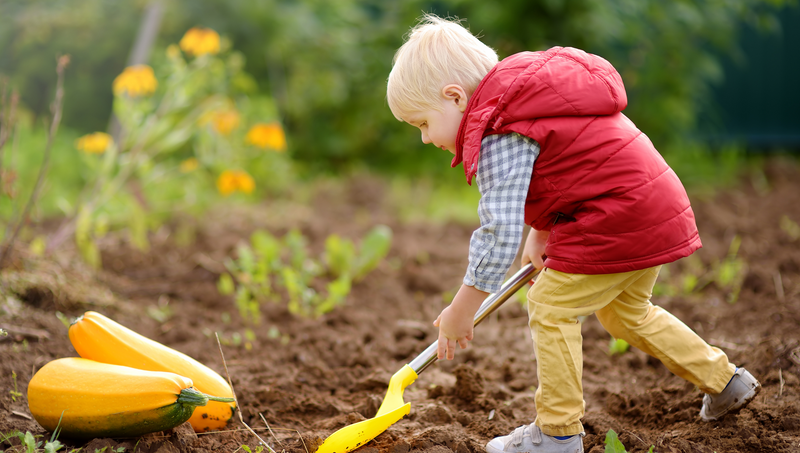 Kid Gardening