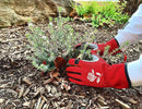 MOREWELL® DAISY Series Gardening Gloves