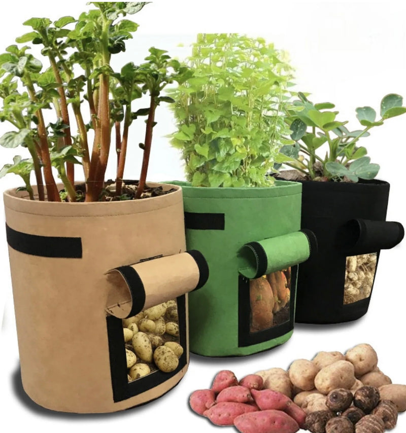 Morewell Plant Grow Bags (3 pcs ) | Potato Bag | Fabric Pot