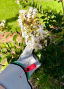 MOREWELL® ROSE Premium Thorn-Proof Gauntlet Gloves